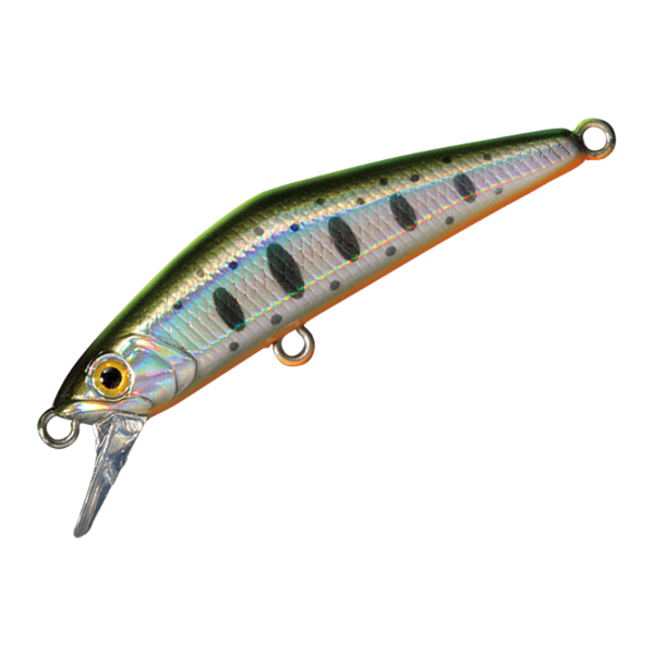 Ｄ－コンパクト　ＦＥＳ　４５(＃１３　チャートバックヤマメ)